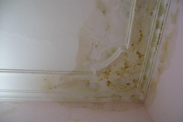 Có Nên Sử Dụng Trần Thạch Cao Chống Ẩm Không? Có Nên Sử Dụng Trần Thạch Cao Chống Ẩm Không?